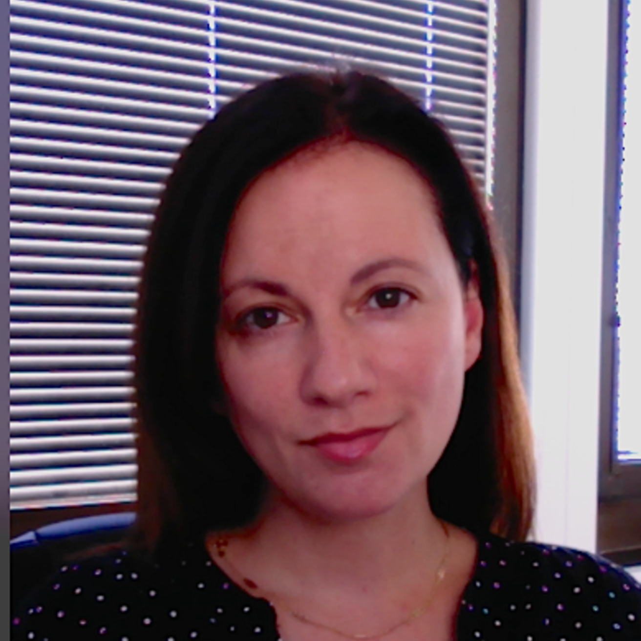 Stephanie DiPietro, PhD Sociology and Criminology College of