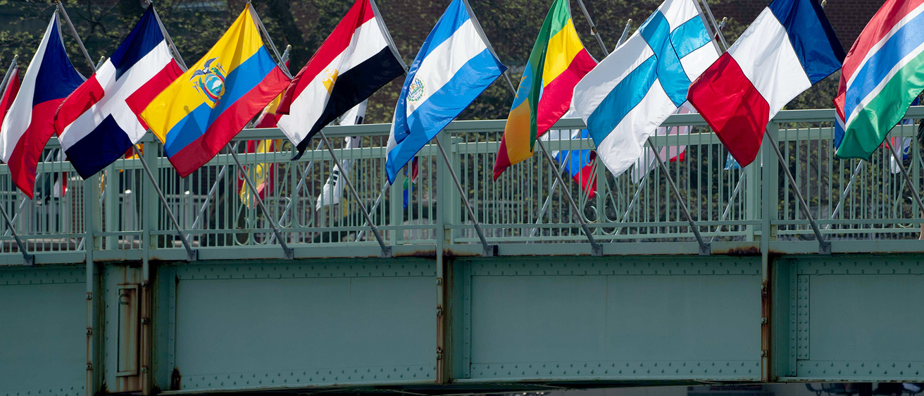 International flags in the wind hung on IMU bridge