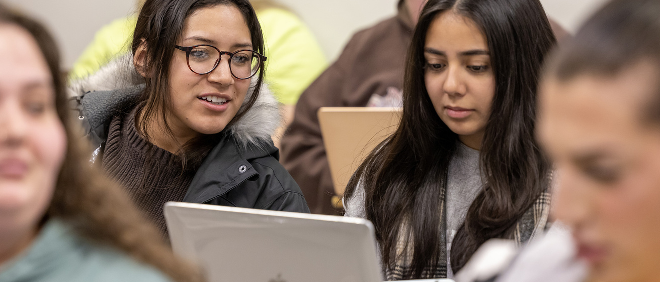 Two students looking at laptop screen in class